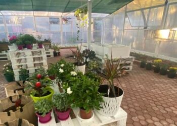 Platforma Smile mundëson ndërtimin e “Serës për fëmijët me aftësi ndryshe” të shkollës Luigj Gurakuqi