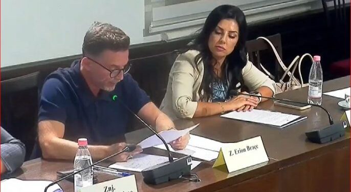 Braçe kritika qeverisë: Duhet plan për kursimin e energjisë