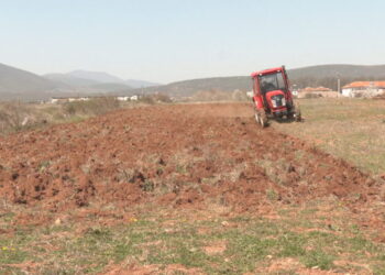 Nafta falas në bujqësi, përfitojnë 34 mijë fermerë. Ja kur është afati i fundit për tërheqjen e saj
