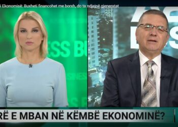 Ish-ministri i Ekonomisë: Buxheti financohet me borxh në pjesën më të madhe, do ta ndjejnë gjeneratat