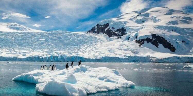 2022 vit katastrofik për shkrirjen e akullnajave