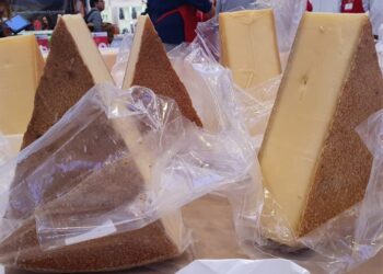 Djathi më i mirë në botë për vitin 2022