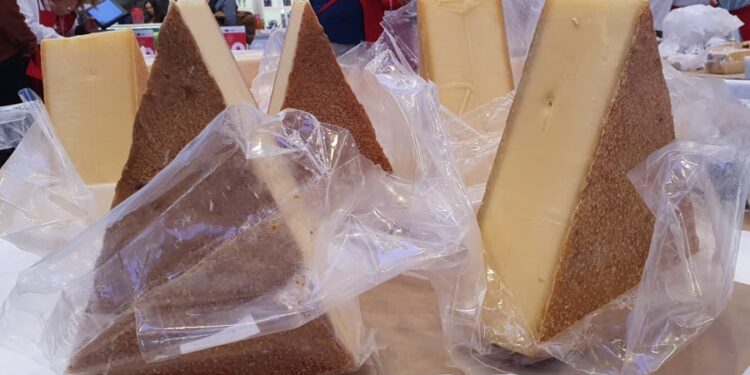 Djathi më i mirë në botë për vitin 2022