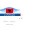 Google “vishet” me flamurin shqiptar