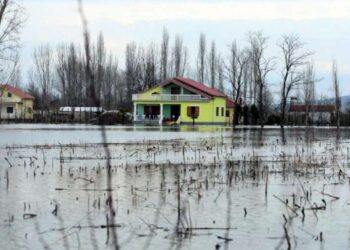 Bilanci i përmbytjeve/ Në Shkodër 26 familje të evaukuara, mijëra ha tokë nën ujë