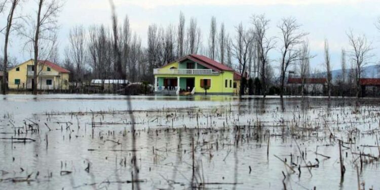 Bilanci i përmbytjeve/ Në Shkodër 26 familje të evaukuara, mijëra ha tokë nën ujë