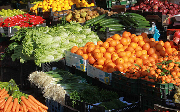 Shqipëria, e varur nga ushqimet e importit