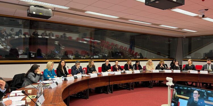 Integrimi në BE/ Ministrja e Financave: Ekonomia shqiptare i ka përballuar goditjet