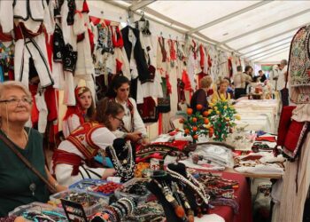 Buxhetimi gjinor/ Programi që ka financuar bizneset e grave në Konkurrueshmëri, Artizanat, Start-up dhe Inovacion