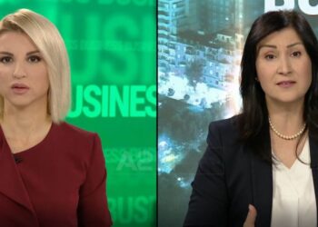 Spahiu: Qeveria të ndihmojë biznesin e vogël, rrezik kthimi i kredive