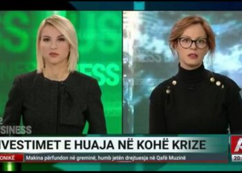 Ku po investojnë më shumë të huajt në Shqipëri? Flet nënkryetarja e Biznesit të Diasporës