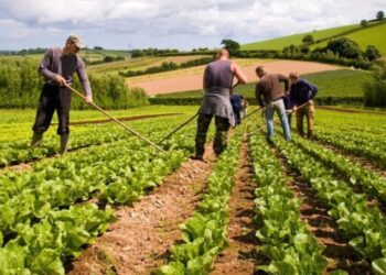 Fondet për bujqësinë, si u nda “torta” prej 5.1 miliardë lekë