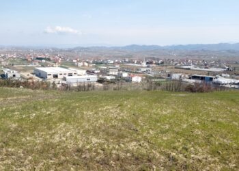 Vjedhjet/ 240 mijë prona publike të paregjistruara