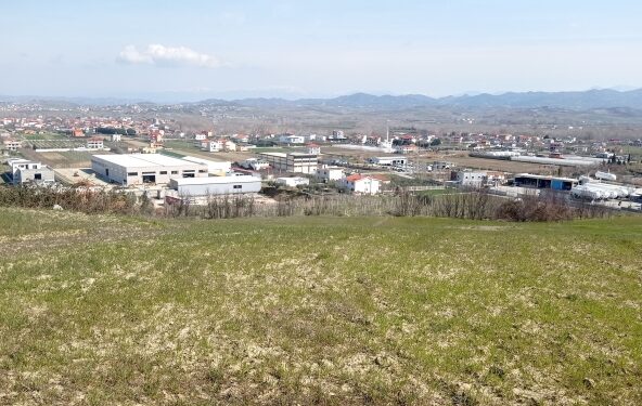 Vjedhjet/ 240 mijë prona publike të paregjistruara