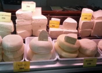 “Vendi më bujqësor në Evropë”, Shqipëria prodhon më pak qumësht për frymë