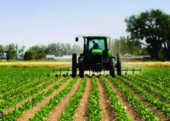 Skema kombëtare në bujqësi, çelen aplikimet. Të hapura deri më 11 prill