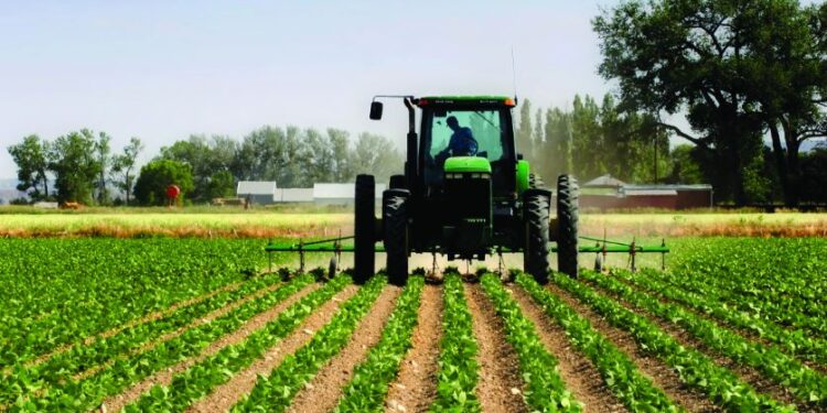 Skema kombëtare në bujqësi, çelen aplikimet. Të hapura deri më 11 prill