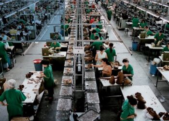 Rritet paga minimale, qeveria mbulon kostot shtesë të kontributeve për bujqësinë dhe fasonët