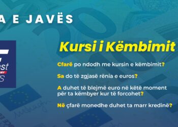 Dilemat që shoqërojnë pikiatën e euros