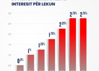 Shtrenjtimi i normës bazë të lekut, të gjitha ndërhyrjet që bëri Banka e Shqipërisë