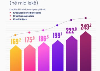 Shqiptarët rrisin borxhet pranë bankave, ish ministri: Merren për konsum, jo për investime