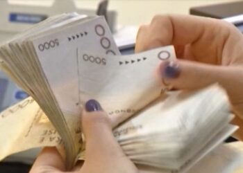 Ku mund të investojë një qytetar? Eksperti i ekonomisë rekomandon fushat ku ka mundësi