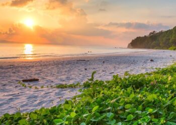 Del klasifikimi/ 10 plazhet më të mira në botë për vitin 2023