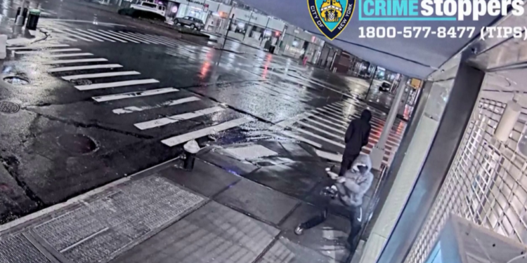 240 mijë dollarë dëm në pak sekonda, hajdutët grabisin dyqanin e modës