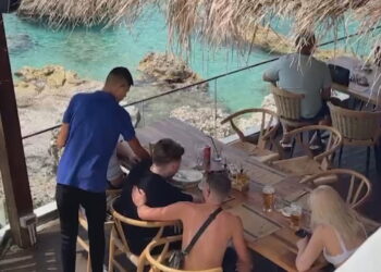 Greqia po merr kamerierët, Shqipëria me sytë nga Azia