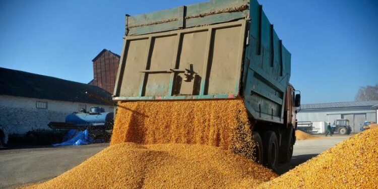 Pikiata e importit të drithërave, niveli më i ulët në 5 vite