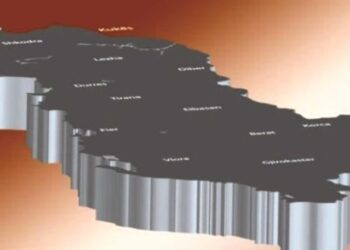 Nga bagëtitë tek arsimi dhe fekondimi, ja për çfarë dallohet secili prej 12 qarqeve në Shqipëri