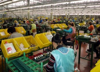 Pagat rriten me pikatore, mezi mbulojnë inflacionin