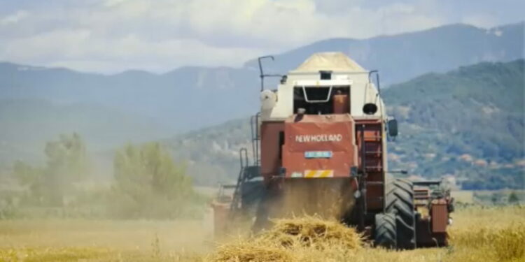 Thirrjet për ulje çmimesh, prodhuesit e miellit: Kostot akoma të larta, do të presim