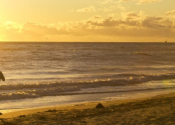 10 mijë $ për 10 mijë hapa! Kjo kompani ka ofertën e veçantë për punonjësit