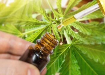 Legalizimi i kanabisit mjekësor, ja si do të funksionojë skema