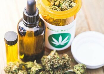 Miratohet projektligji/ Qeveria lejon kultivimin e kanabisit mjekësor