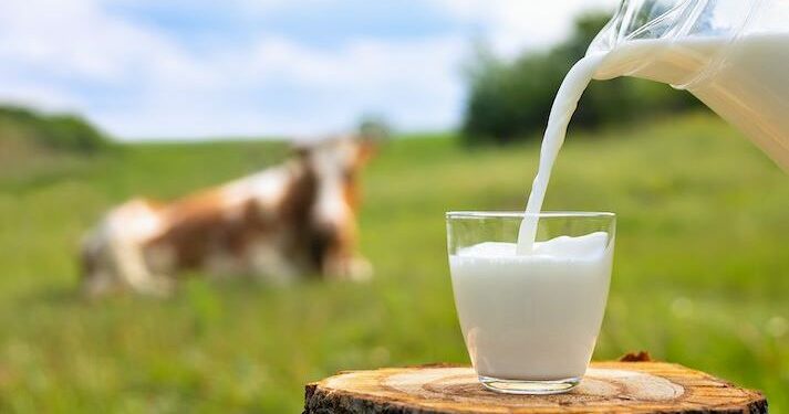 Shqipëria ndër 5 vendet me konsumin më të lartë të qumështit në botë