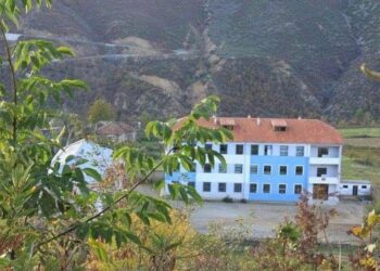 Histori frymëzuese/ Tre ish nxënës ndërtojnë laboratorin dhe në bibliotekën në shkollën e fshatit