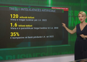Ndikimi i Inteligjencës Artificiale në biznes