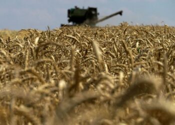 Rusia tërhiqet nga marrëveshja e Detit të Zi, çmimet e drithërave në “stratosferë”