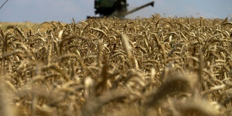 Rusia tërhiqet nga marrëveshja e Detit të Zi, çmimet e drithërave në “stratosferë”