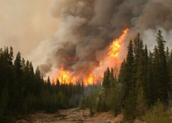 I nxehti përvëlues shkakton zjarre masive në Shqipëri