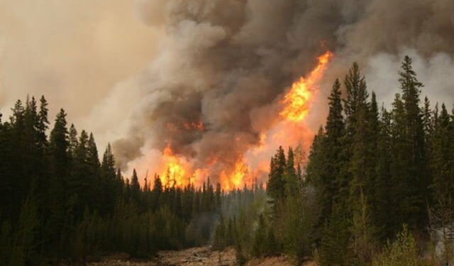 I nxehti përvëlues shkakton zjarre masive në Shqipëri