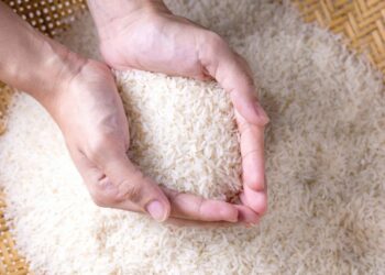 FAO jep alarmin: Çmimi i orizit më i larti në 12 vjet, rrezik për mungesa në treg