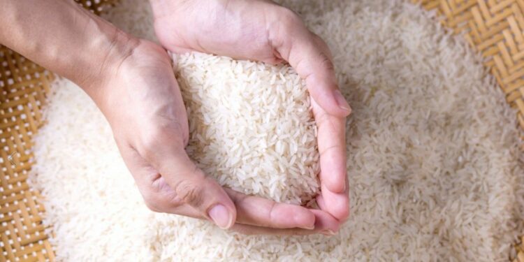 FAO jep alarmin: Çmimi i orizit më i larti në 12 vjet, rrezik për mungesa në treg