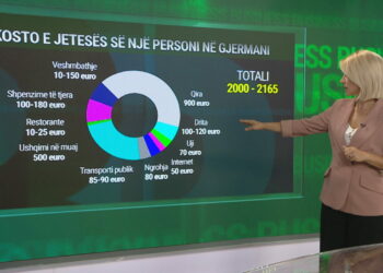 Paga dhe kostot/ Jetesa në Shqipëri vs jetesa në Gjermani