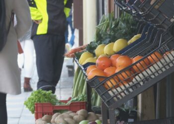 Anketa për shërbimet online të qeverisë: Bizneset e vogla, më skeptiket për korrupsionin dhe barrën administrative