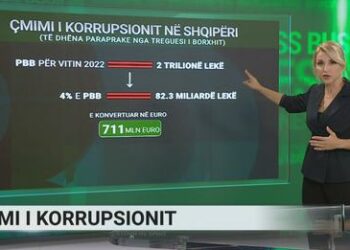 Çmimi i korrupsionit në Shqipëri, ja sa na kushton