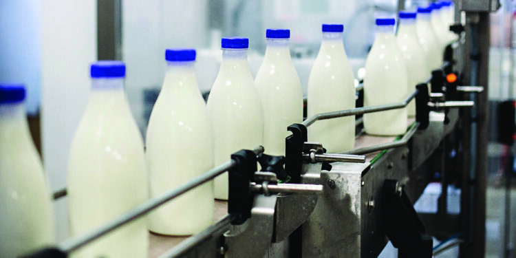 Importet e qumështit për 9-mujorin u rritën 27%; Përpunuesit: Prodhimi vendas nuk garanton sasi nga mbyllja e fermave të vogla