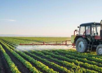 IPARD gjen 33.5 mln euro parregullsi në Shqipëri, sa 71% e abuzimeve në të gjithë Ballkanin